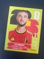 Panini FIFA World Cup Sticker BEL 5